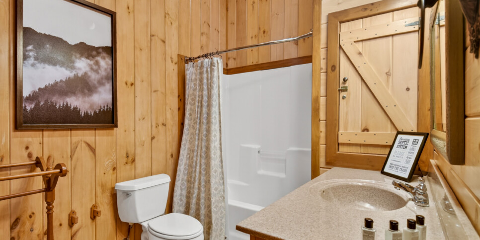 blue ridge kick aska lodge bedroom