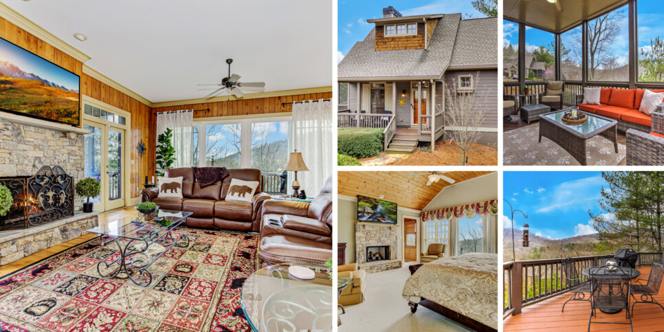 big canoe paws awhile collage