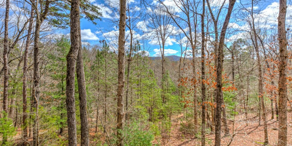 Big Canoe - Serenity on the Ridge - Exterior