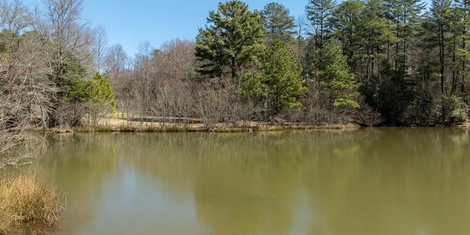 Blue Ridge - Laurel Ridge Retreat - Temporary Photos