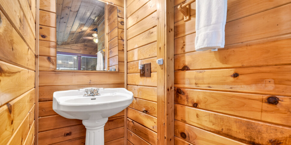 blue ridge wolfpack lodge bathroom