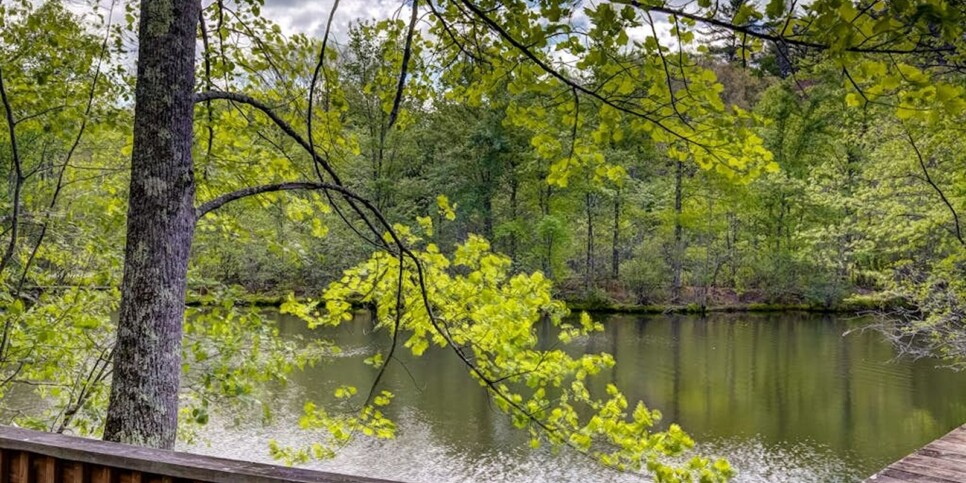 Blue Ridge - Wolfpack Lodge - Temporary Photo