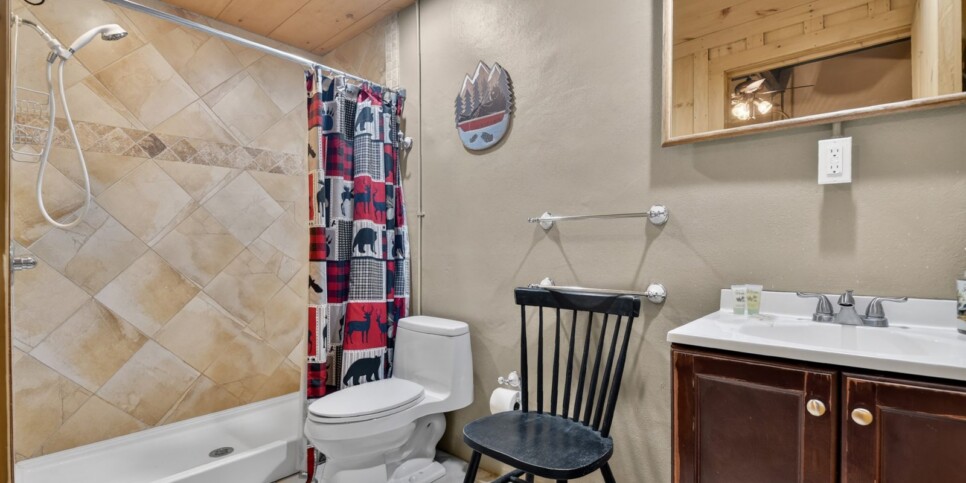 blue ridge riversong on the toccoa bathroom