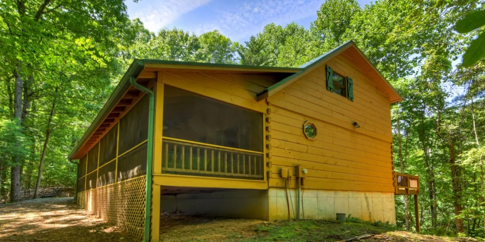 Blue Ridge Chestnut Bearcation Exterior