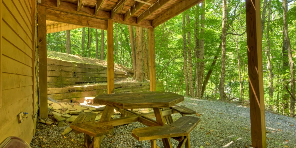 Blue Ridge Chestnut Bearcation Exterior