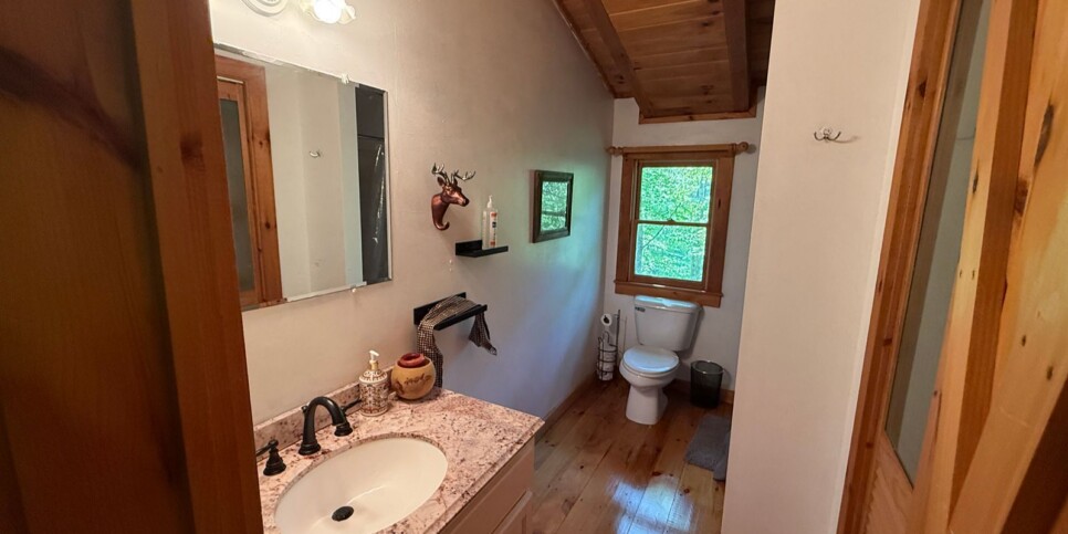 Blue Ridge - Chestnut Bearcation - Temporary Photos