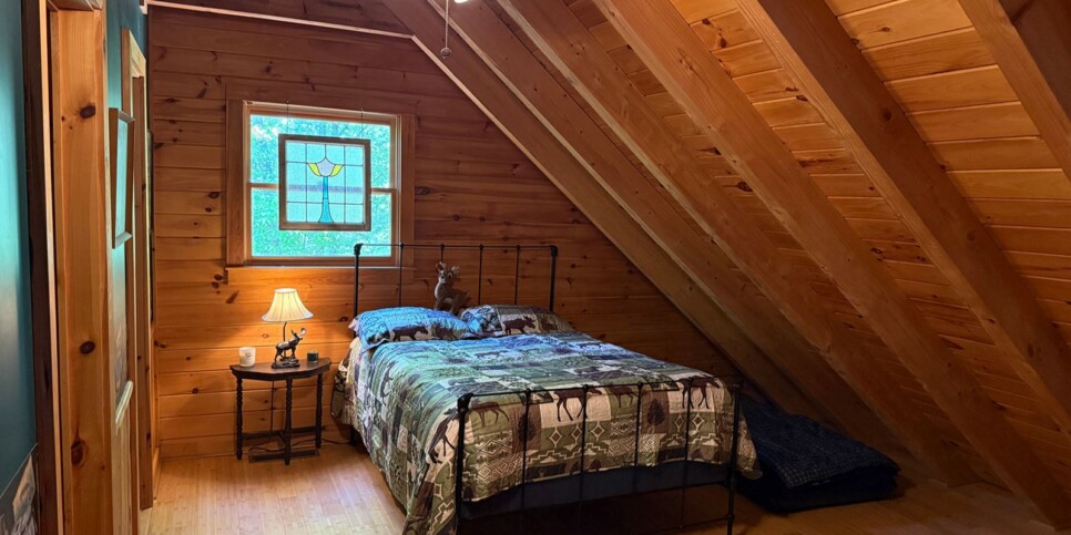 Blue Ridge - Chestnut Bearcation - Temporary Photos