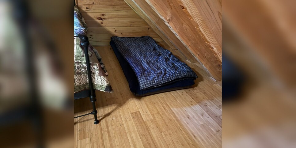 Blue Ridge - Chestnut Bearcation - Temporary Photos