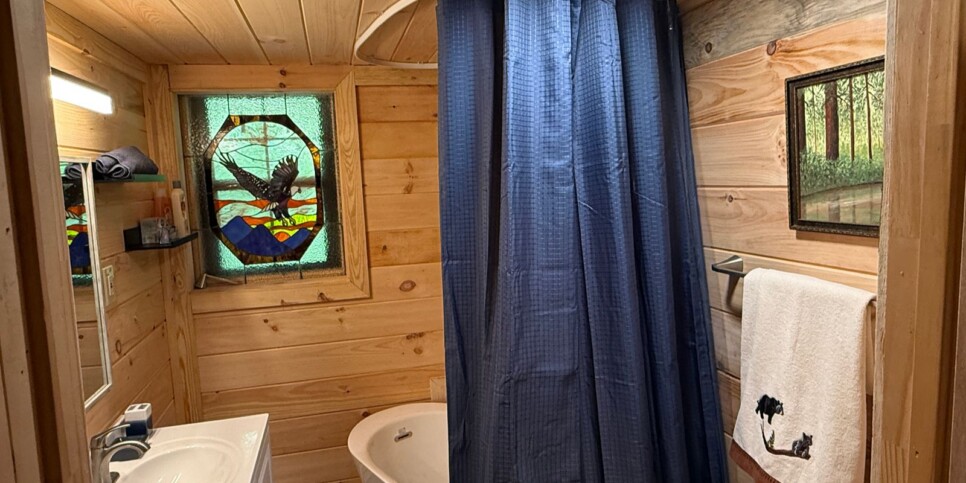 Blue Ridge - Chestnut Bearcation - Temporary Photos