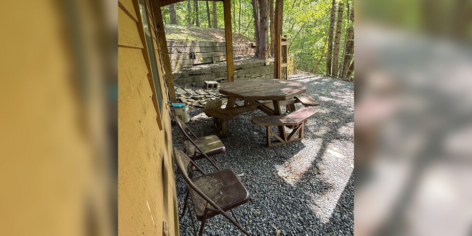 Blue Ridge - Chestnut Bearcation - Temporary Photos