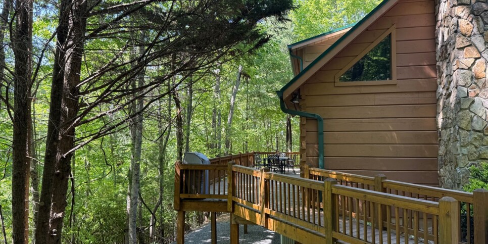 Blue Ridge - Chestnut Bearcation - Temporary Photos