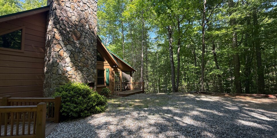 Blue Ridge - Chestnut Bearcation - Temporary Photos