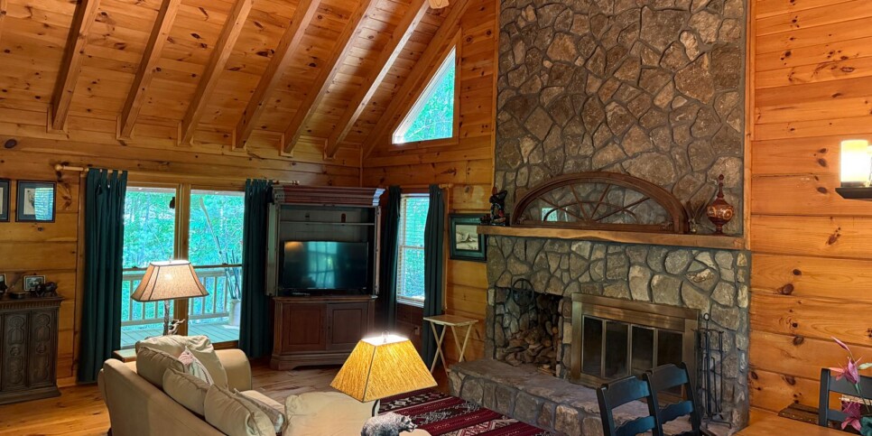 Blue Ridge - Chestnut Bearcation - Temporary Photos