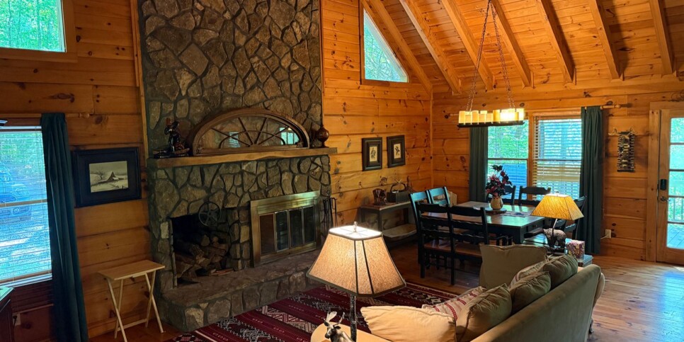 Blue Ridge - Chestnut Bearcation - Temporary Photos