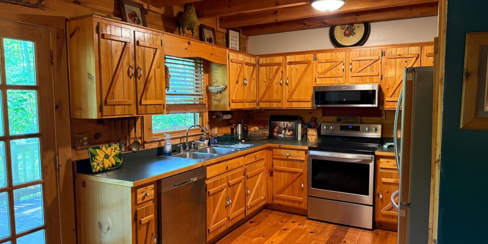 Blue Ridge - Chestnut Bearcation - Temporary Photos