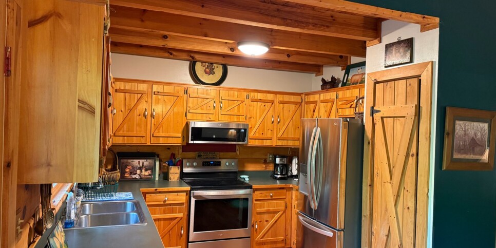 Blue Ridge - Chestnut Bearcation - Temporary Photos