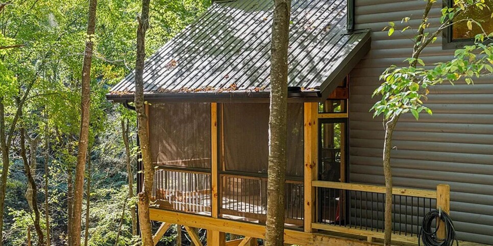 Blue Ridge - The Goathouse - Temporary Photos