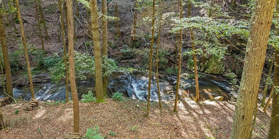 Blue Ridge - The Goathouse - Temporary Photos