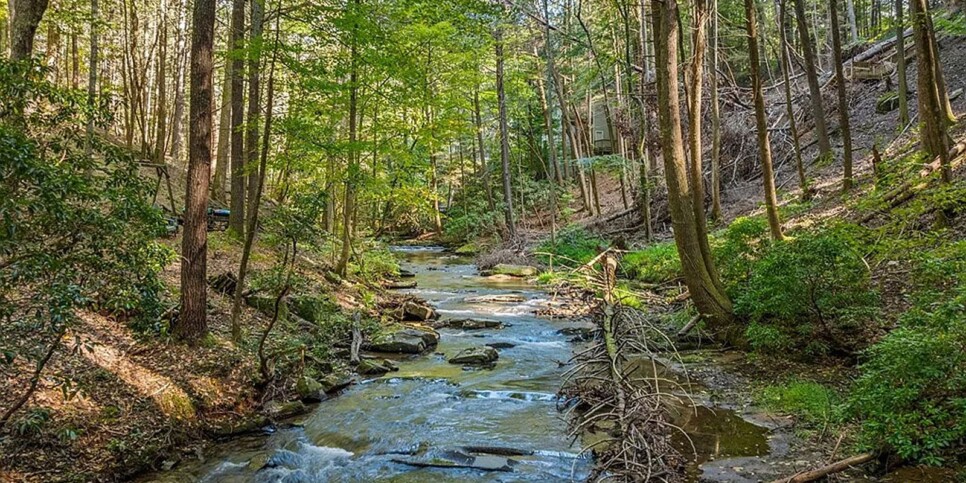 Blue Ridge - The Goathouse - Temporary Photos