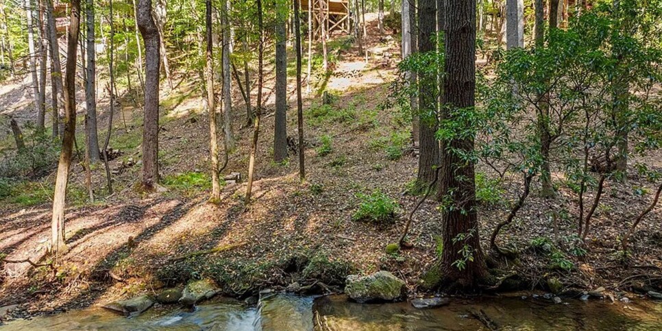 Blue Ridge - The Goathouse - Temporary Photos