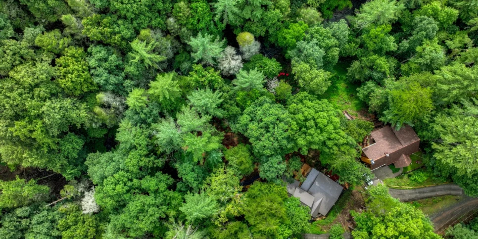 Ellijay The Goathouse Exterior