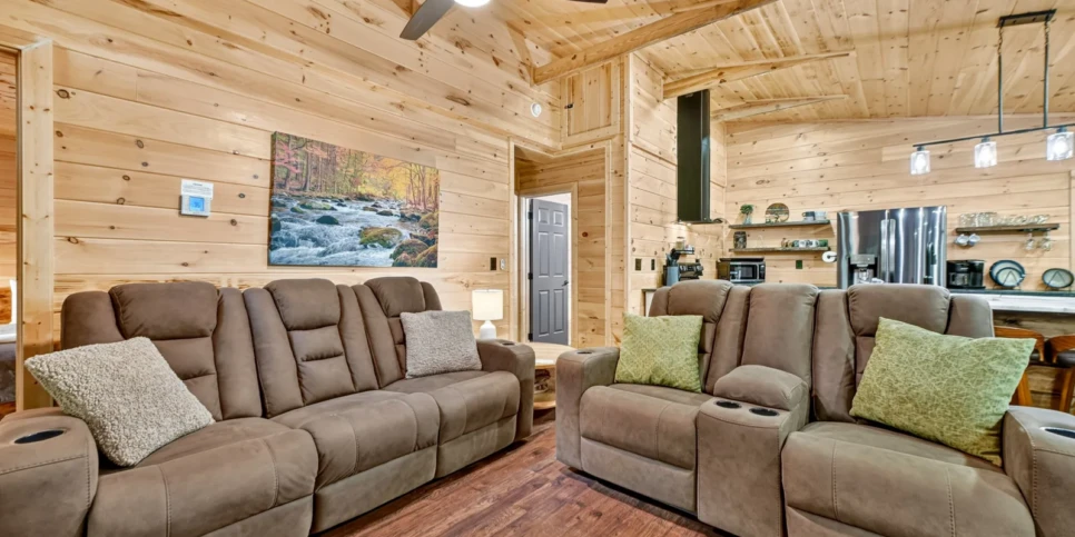 Ellijay The Goathouse Living Room