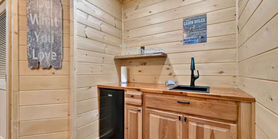 Ellijay The Goathouse Rec Room