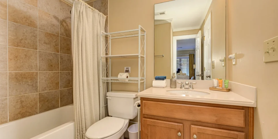 Big Canoe Bear Bluff Bathroom