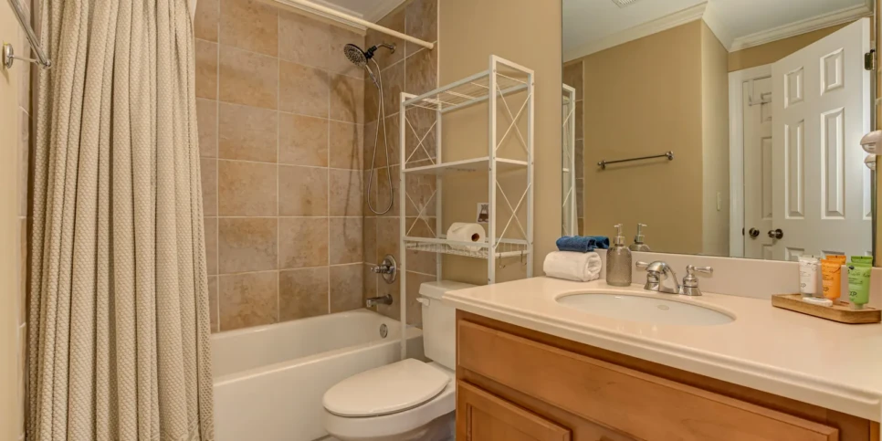 Big Canoe Bear Bluff Bathroom