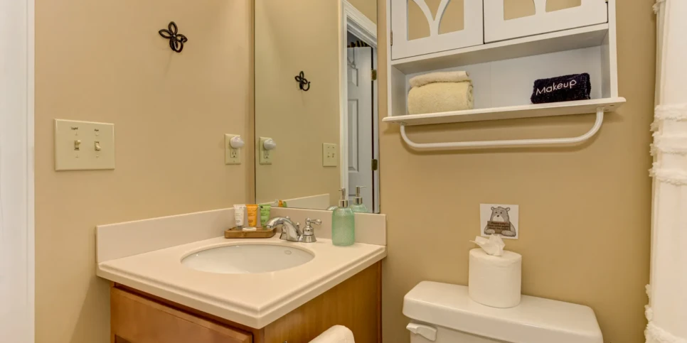 Big Canoe Bear Bluff Bathroom