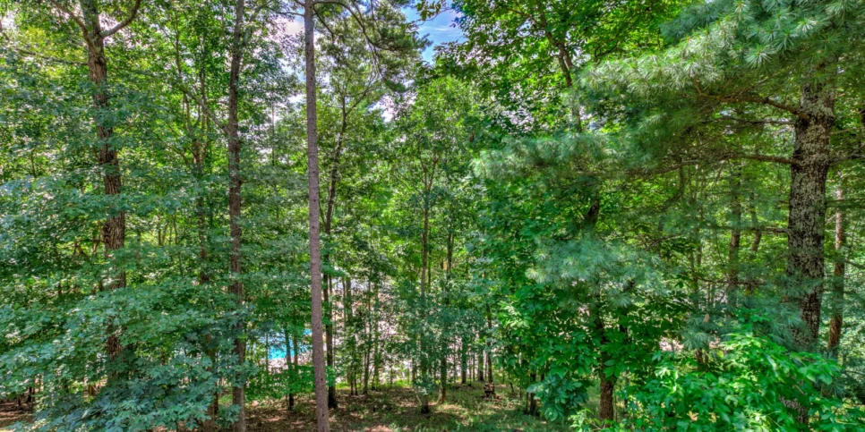 Big Canoe Bear Bluff Exterior