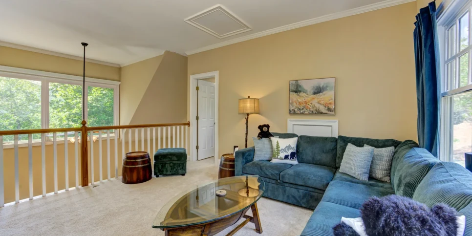 Big Canoe Bear Bluff Rec Room
