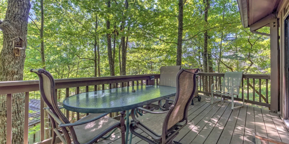 Big Canoe Treehouse Mountain Exterior
