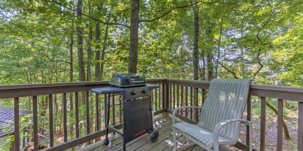 Big Canoe Treehouse Mountain Exterior