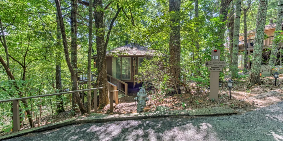 Big Canoe Treehouse Mountain Exterior