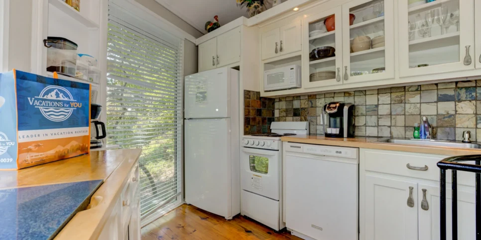 Big Canoe Treehouse Mountain kitchen