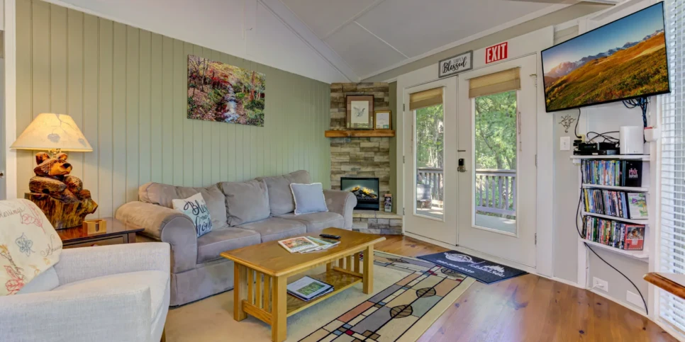 Big Canoe Treehouse Mountain Living Room