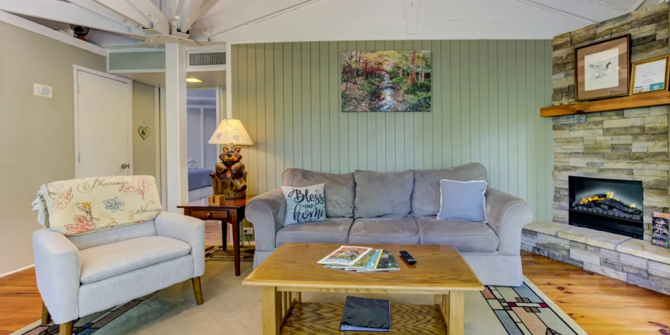 Big Canoe Treehouse Mountain Living Room