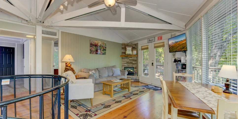 Big Canoe Treehouse Mountain Living Room
