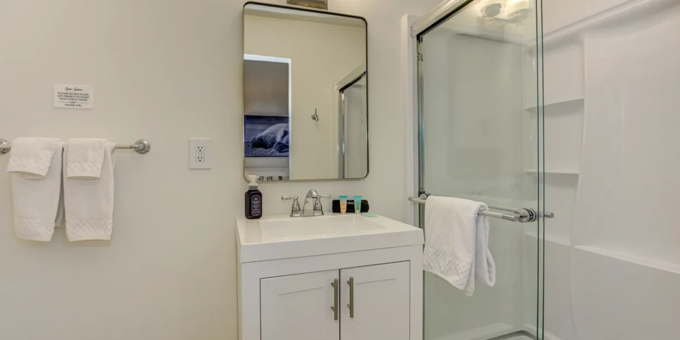 Big Canoe - The Cheeky Kea - Bathroom