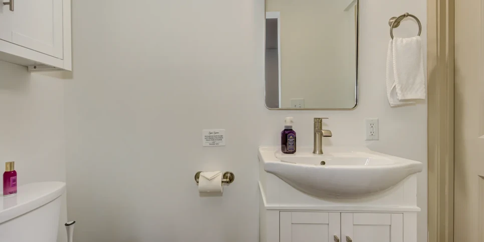 Big Canoe - The Cheeky Kea - Bathroom