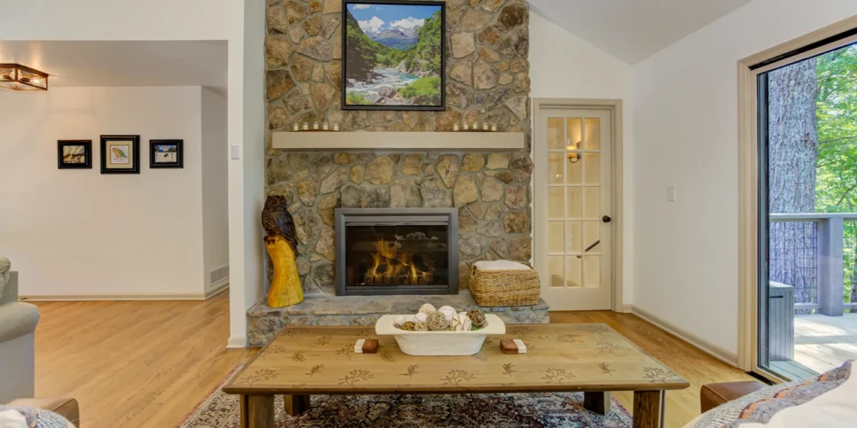 Big Canoe - The Cheeky Kea - Living Room