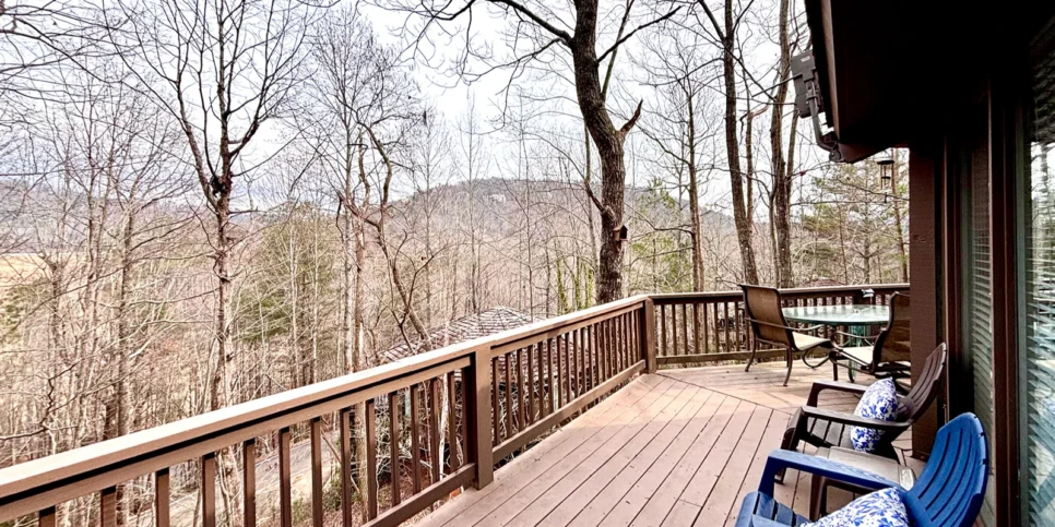 Big Canoe - Treehouse Mountain - Temporary Photos