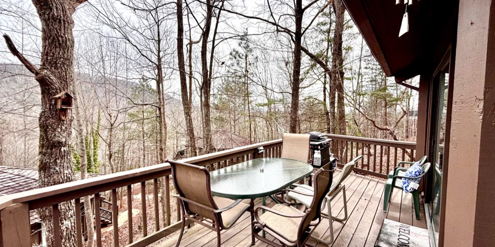 Big Canoe - Treehouse Mountain - Temporary Photos