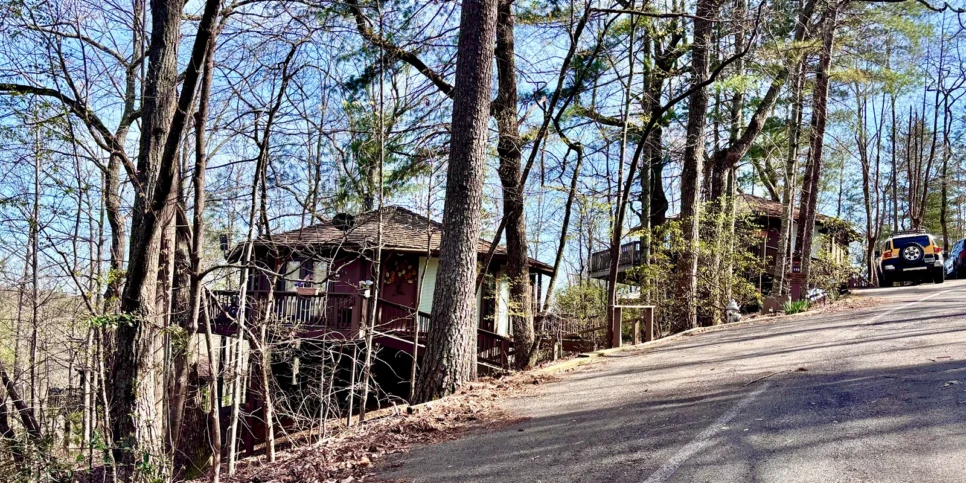 Big Canoe - Treehouse Mountain - Temporary Photos
