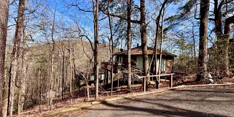 Big Canoe - Treehouse Mountain - Temporary Photos