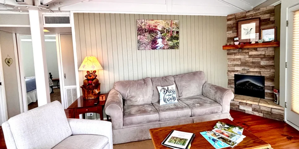 Big Canoe - Treehouse Mountain - Temporary Photos