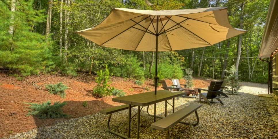 Blue Ridge Deer Haven Exterior