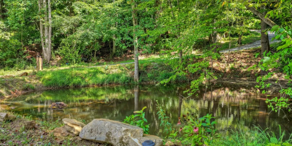 Blue Ridge Hothouse Creek Retreat Exterior