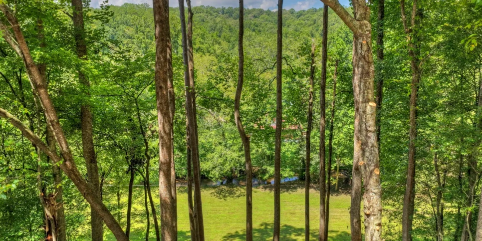 Blue Ridge Hothouse Creek Retreat Exterior